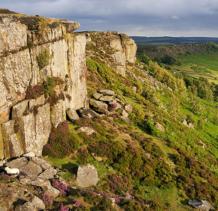 sheffield 1